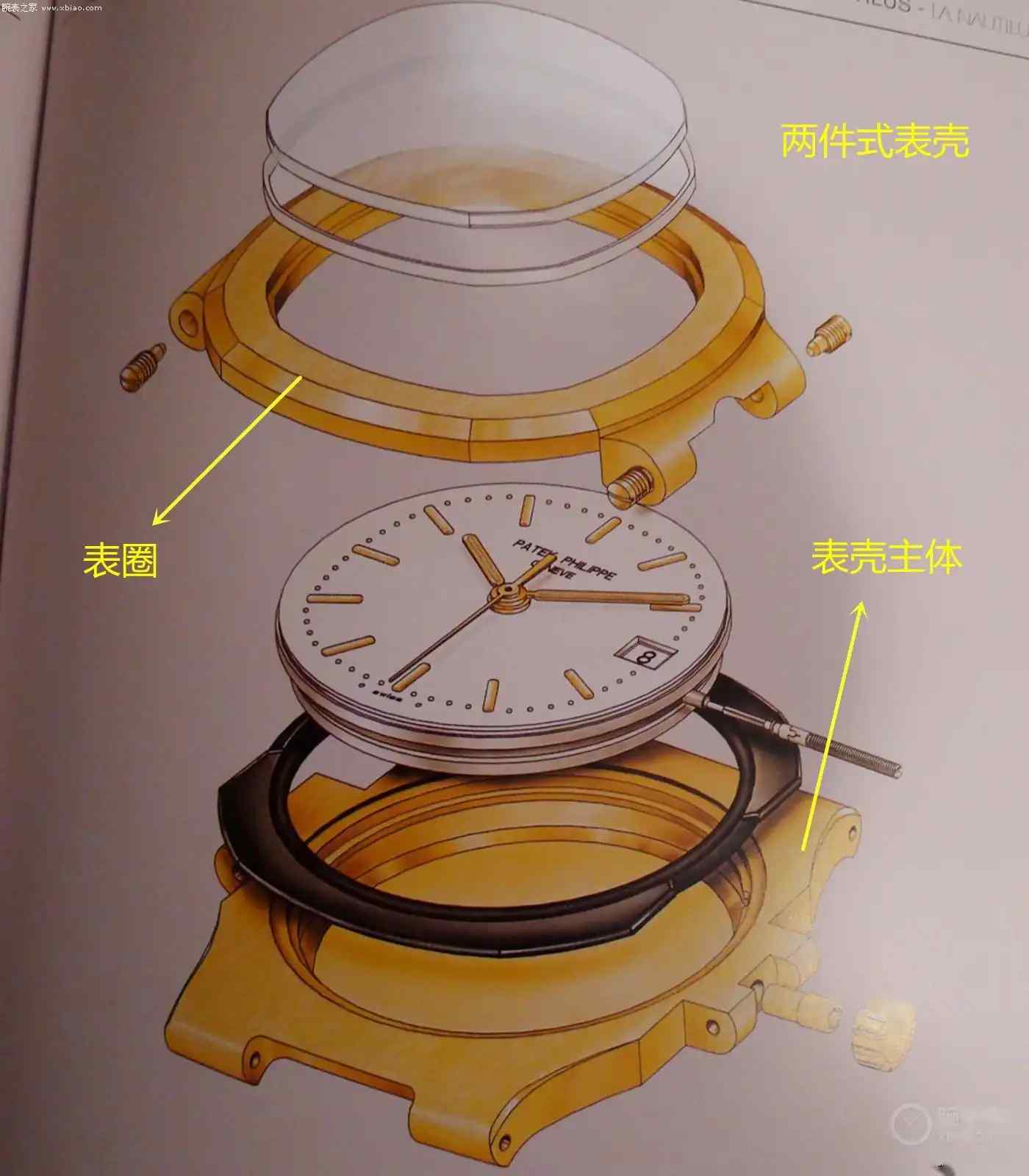 百达翡丽全新Cubitus系列震撼发布，鹦鹉螺“平替”来袭！ | 奈斯探表