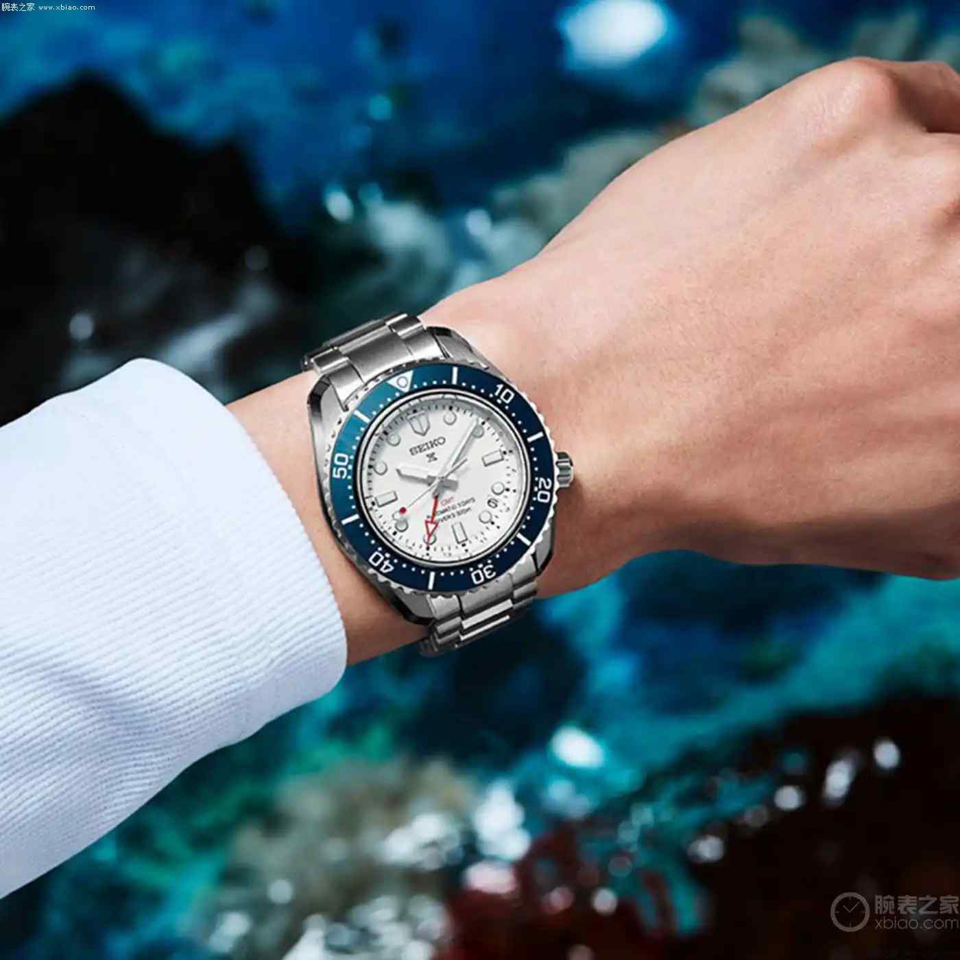 1.5万预算必看!精工60周年限量潜水表SPB519深度评测 | 奈斯探表 1.5万预算必看!精工60周年限量潜水表SPB519深度评测 | 奈斯探表