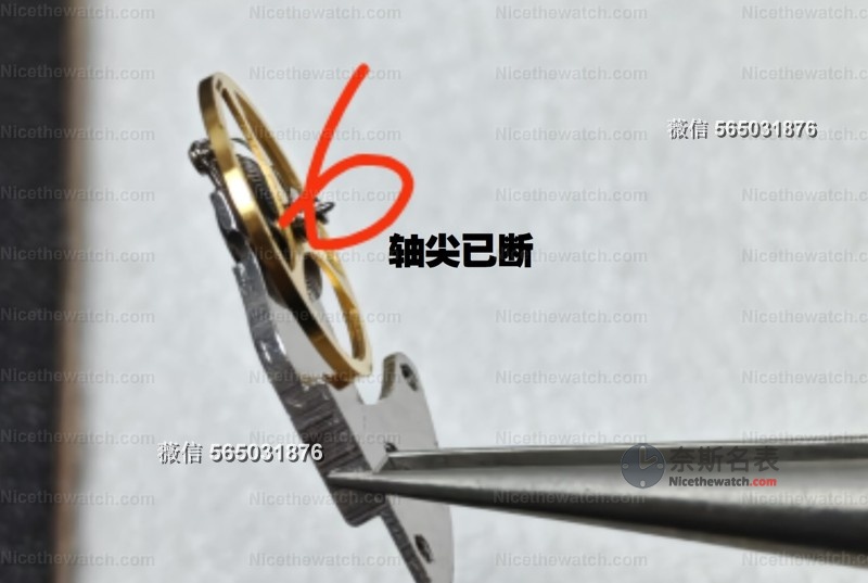 丹东机芯虽强,也怕“暴力操作”!3个养护细节决定你的复刻表能戴多久 | 奈斯探表 丹东机芯虽强,也怕“暴力操作”!3个养护细节决定你的复刻表能戴多久 | 奈斯探表