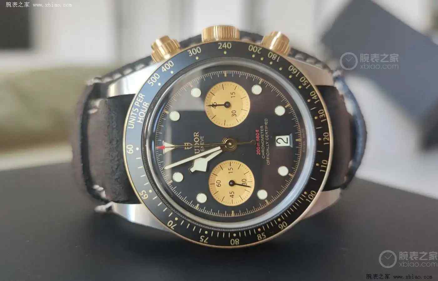 年轻人的第一只帝舵?碧湾计时型杰伦粉熊猫面多彩选择潮翻全场 | 奈斯探表 年轻人的第一只帝舵?碧湾计时型杰伦粉熊猫面多彩选择潮翻全场 | 奈斯探表