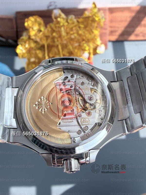 我戴了两周DDF鹦鹉螺7118女表，这几点真的让我忍不住想分享！ | 奈斯探表