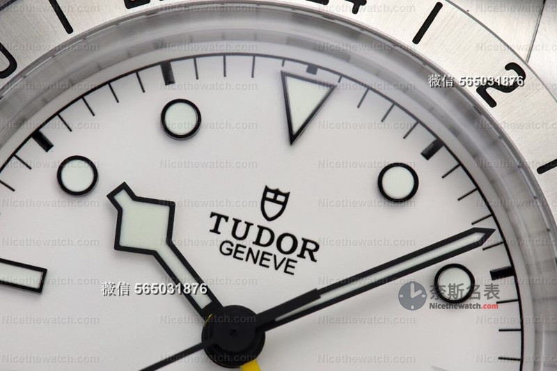 ZF 厂帝舵碧湾专业型深度评测：39mm 黄金尺寸搭配 MT5652 机芯，值得入手吗？ | 奈斯探表